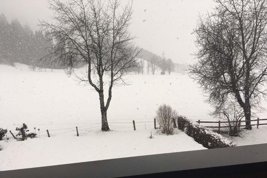 Ferienwohnung Schwalbenwandblick Saalfelden Luaran gambar
